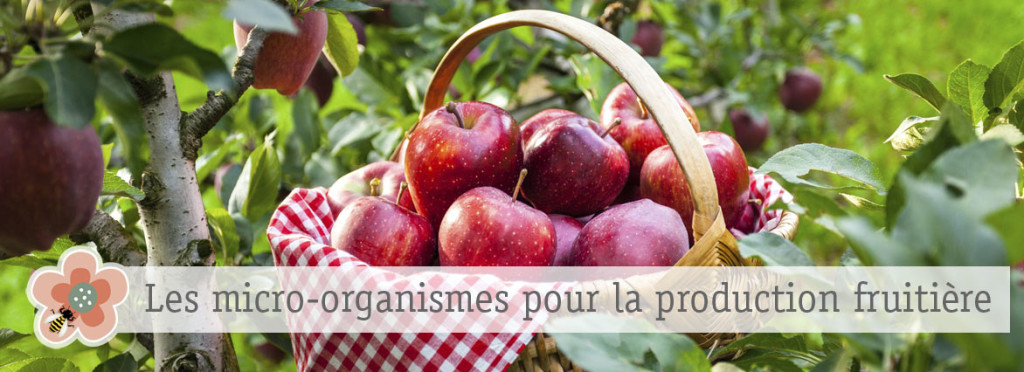 production fruitière