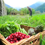 Jardin de montagne Bio